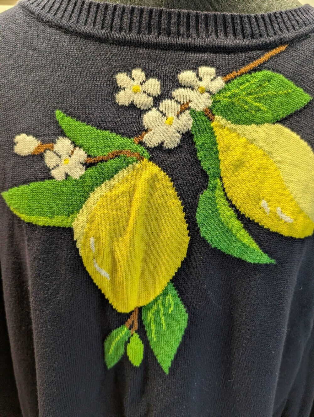 Talbots Plus Fresh Lemons Intarsia Sweater Navy Blue 2X EUC - Picture 4 of 7